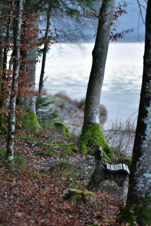 2018-12-29 Hohenschwangau/DSC_8772.JPG
